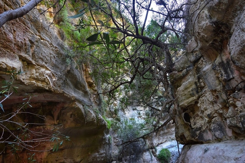 Ущелье Авакас на Кипре (Avakas Gorge. Cyprus): фото 47