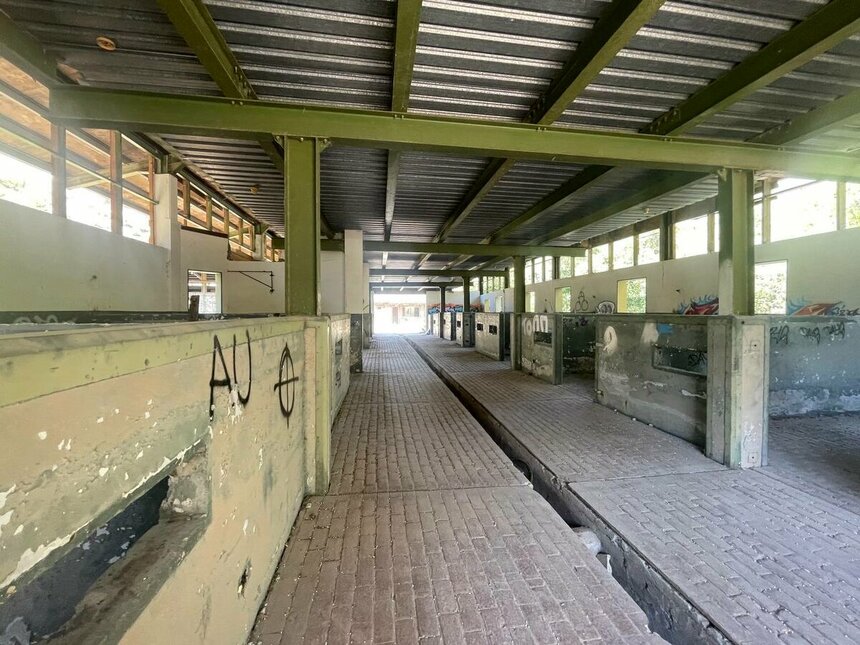 Заброшенное ранчо Аппалуза в Лимассоле: фото 11 Заброшенное ранчо Аппалуза в Лимассоле: фото 11