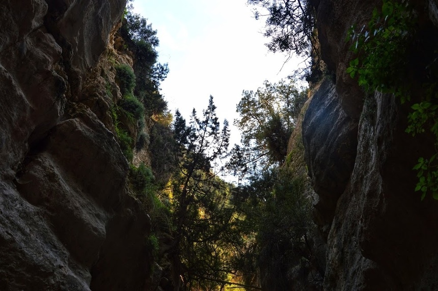 Ущелье Авакас на Кипре (Avakas Gorge. Cyprus): фото 63