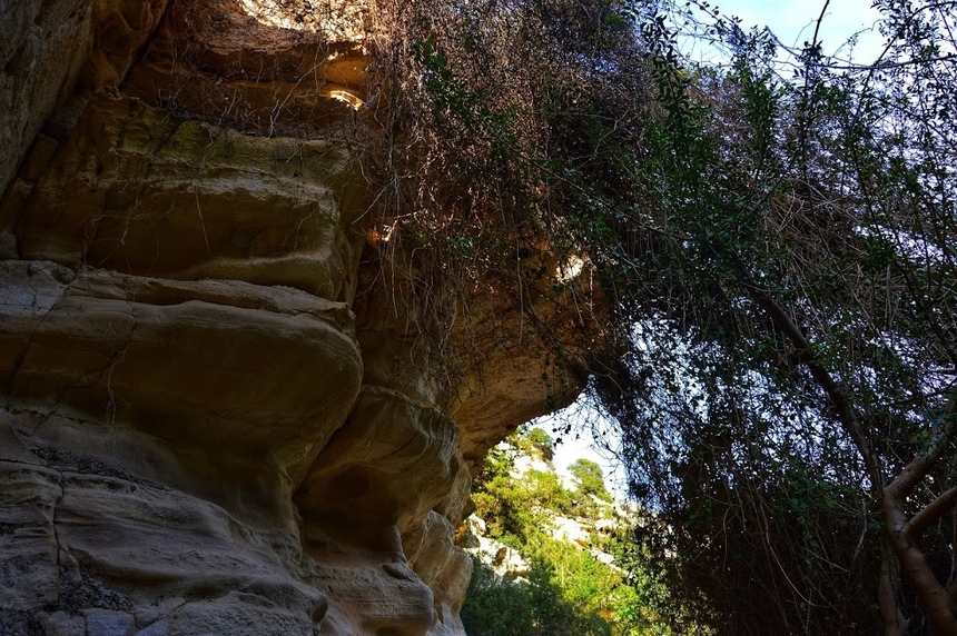 Ущелье Авакас на Кипре (Avakas Gorge. Cyprus): фото 20