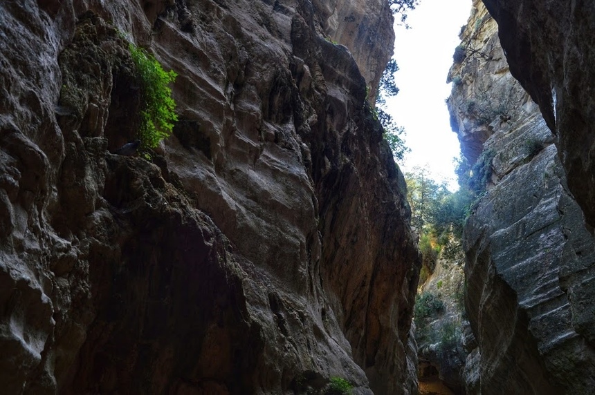 Ущелье Авакас на Кипре (Avakas Gorge. Cyprus): фото 58