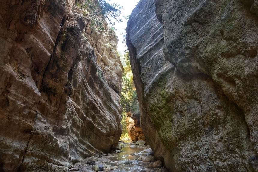 Ущелье Авакас на Кипре (Avakas Gorge. Cyprus): фото 66