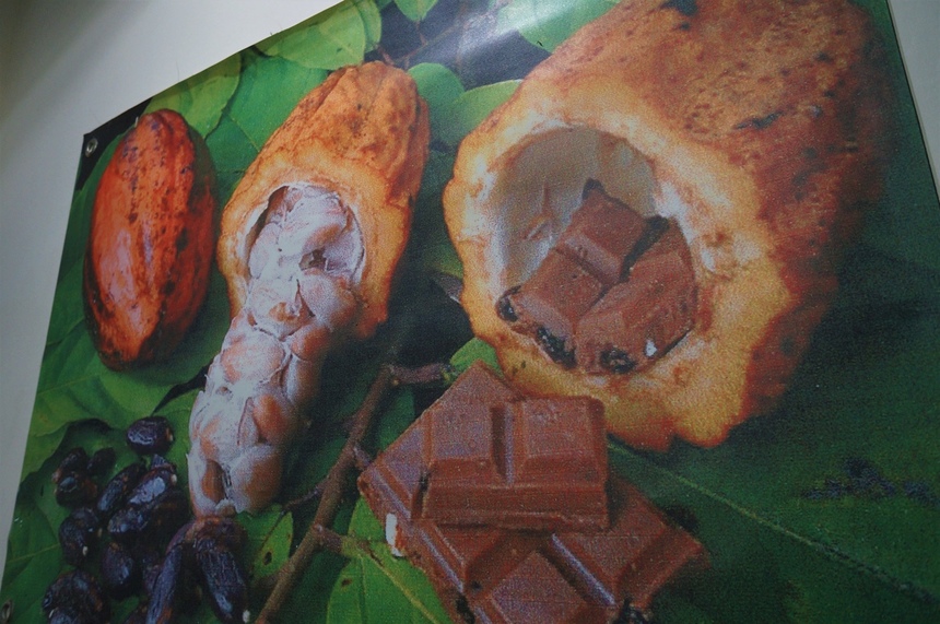 Cyprus Chocolates- рай для сладкоежек: фото 16