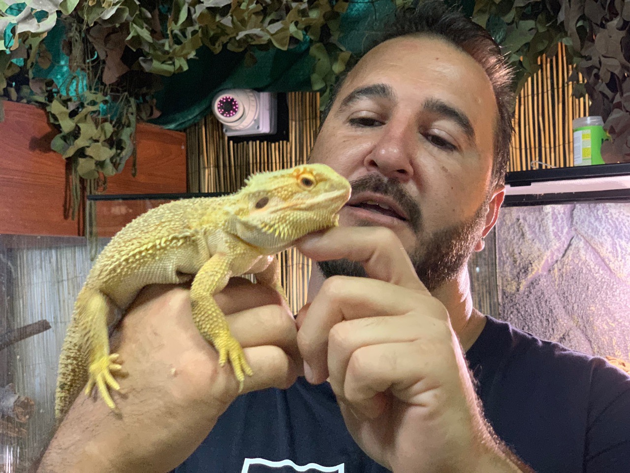 Reptile Jungle - Змеиное царство в центре Лимассола!: фото 20