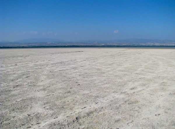 Соленое озеро Акротири в Лимассоле: фото 2