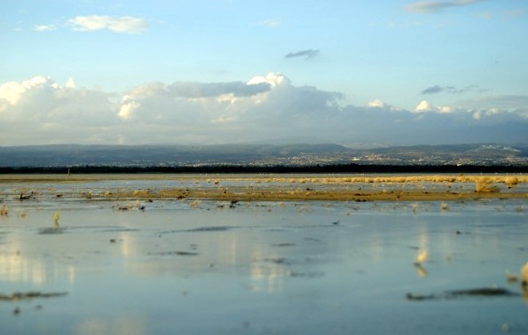 Соленое озеро Акротири в Лимассоле: фото 3